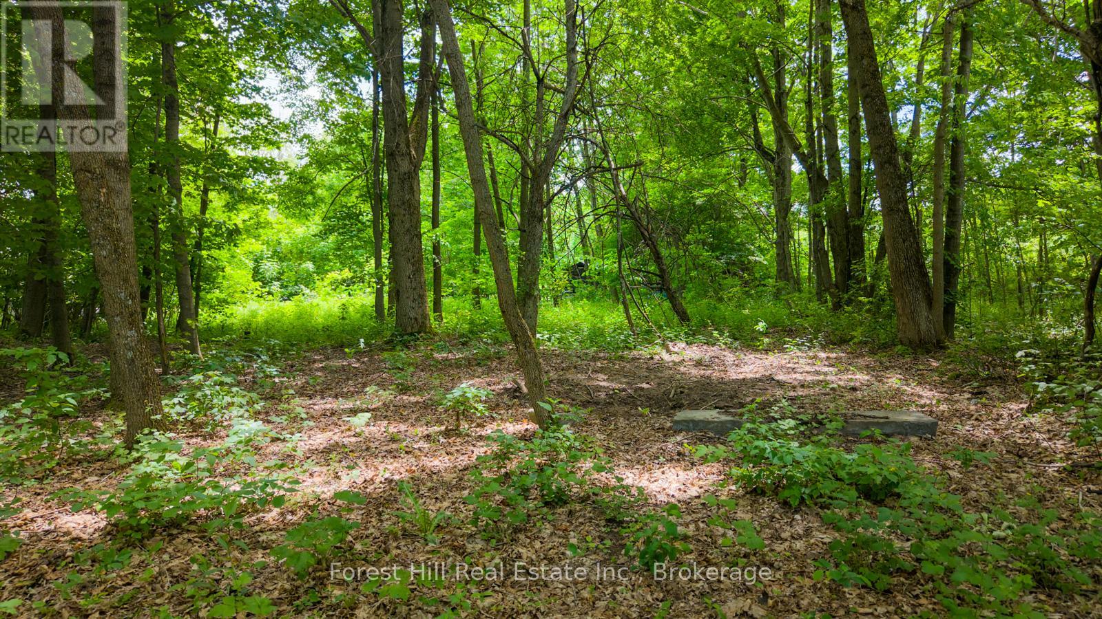 154 Bowles Bluff Road, Grey Highlands, Ontario  N0C 1H0 - Photo 4 - X13467932