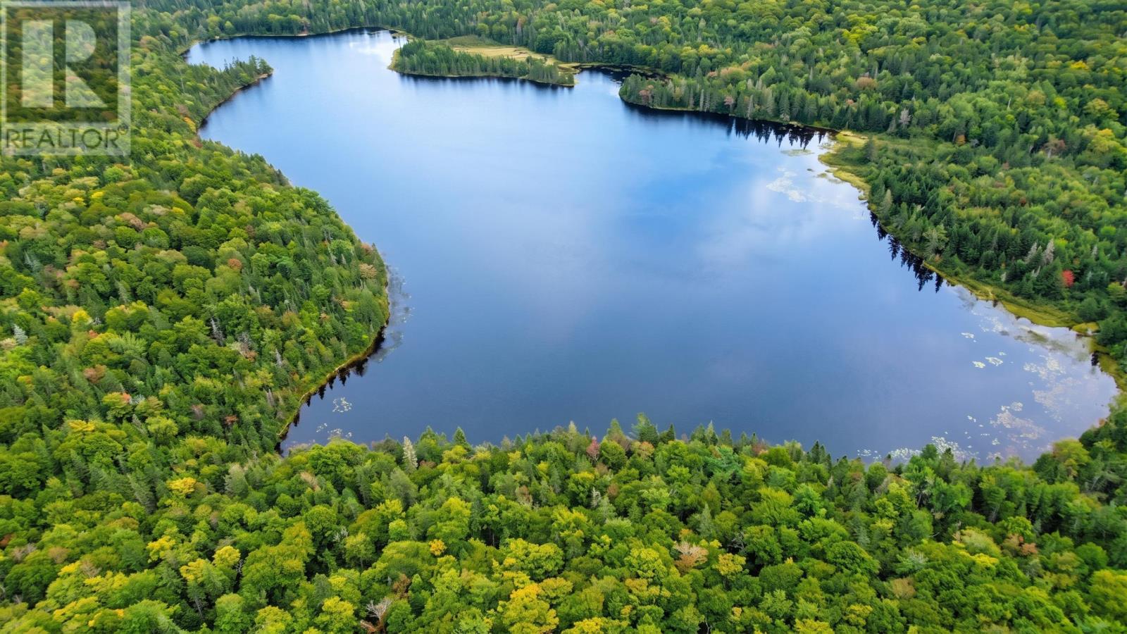 picture 35