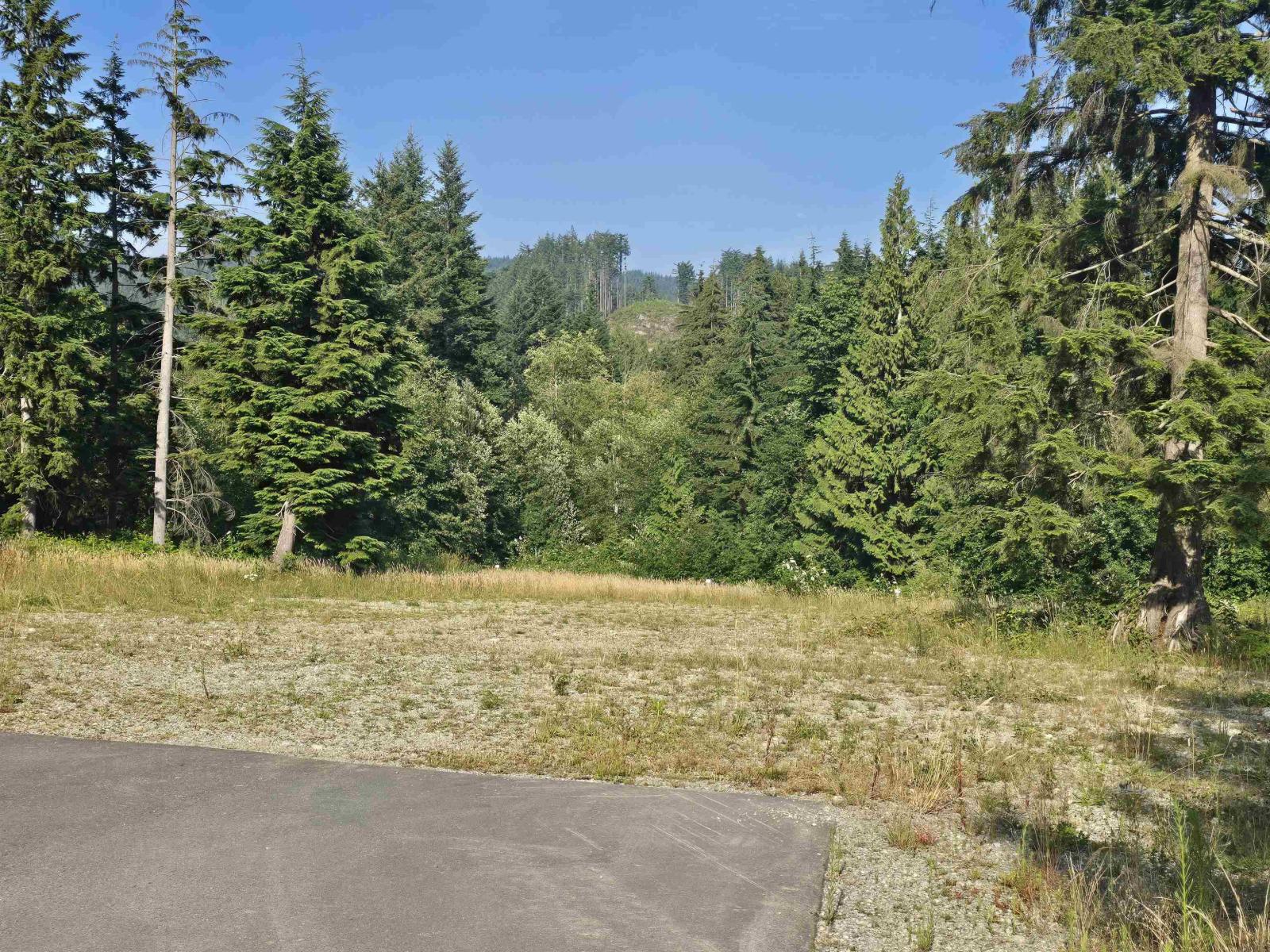 32201 Richards Avenue, Mission, British Columbia  V4S 1K8 - Photo 10 - R3169349