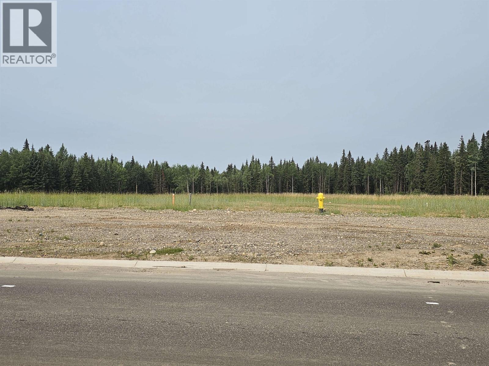 6697 Boundary Road, Prince George, British Columbia  V2N 0H1 - Photo 4 - C8082308