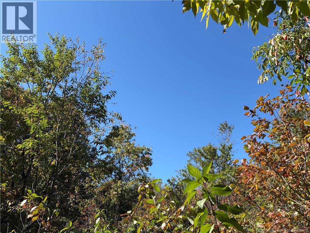Lot 23-01 Howland Ridge Road, Millville, New Brunswick  E6E 1R3 - Photo 20 - NB146117