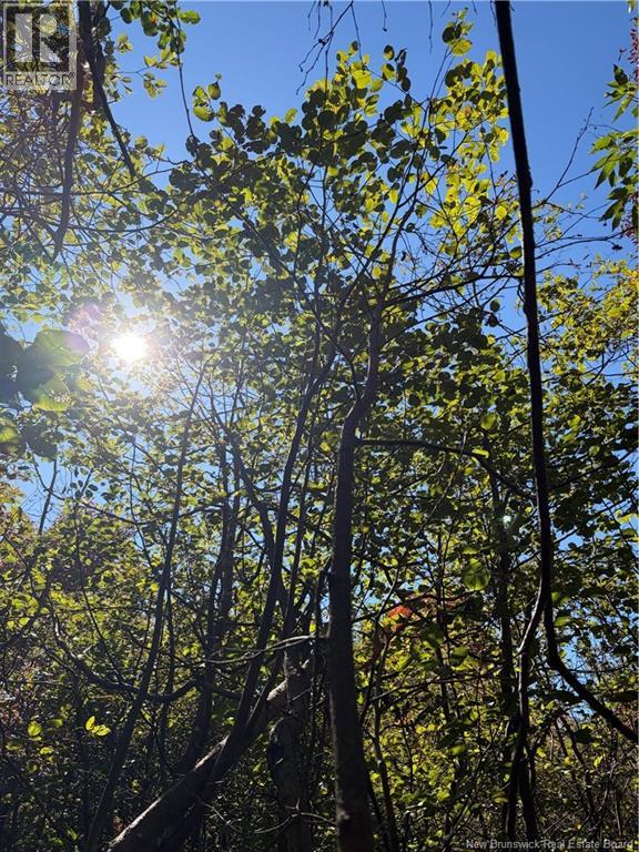 Lot 23-01 Howland Ridge Road, Millville, New Brunswick  E6E 1R3 - Photo 16 - NB146117