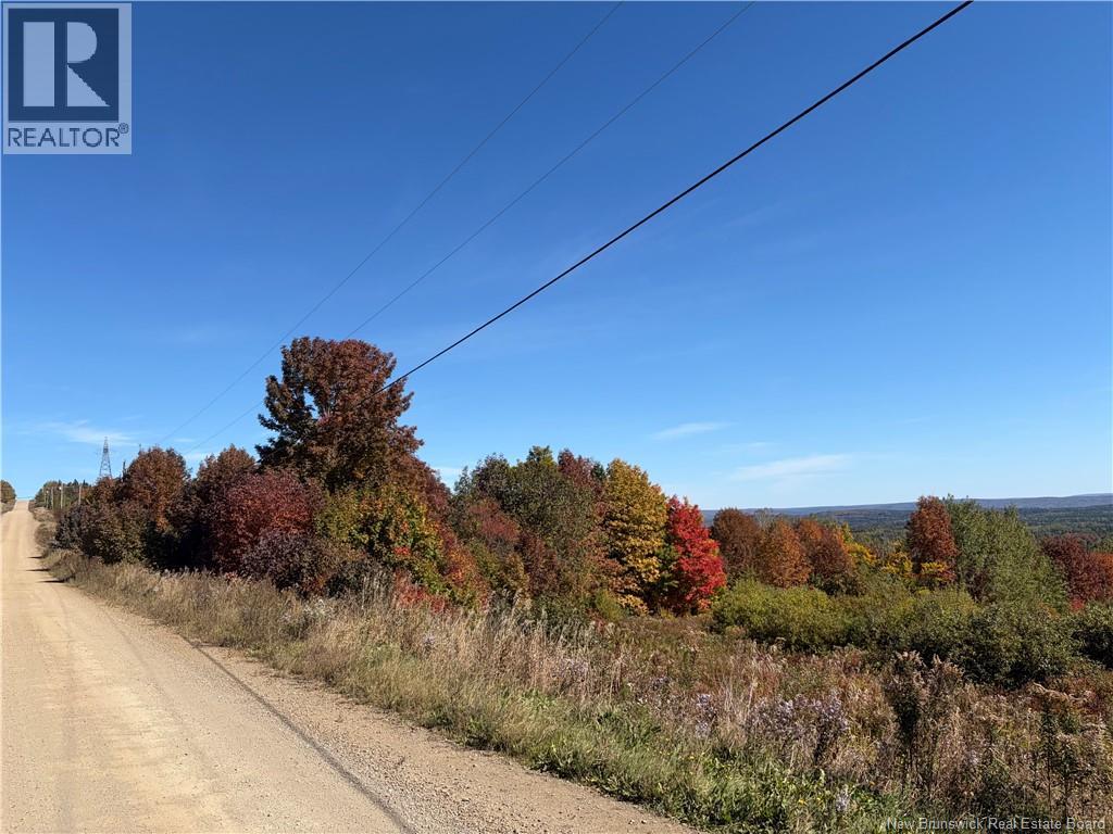 Lot 23-01 Howland Ridge Road, Millville, New Brunswick  E6E 1R3 - Photo 23 - NB146117