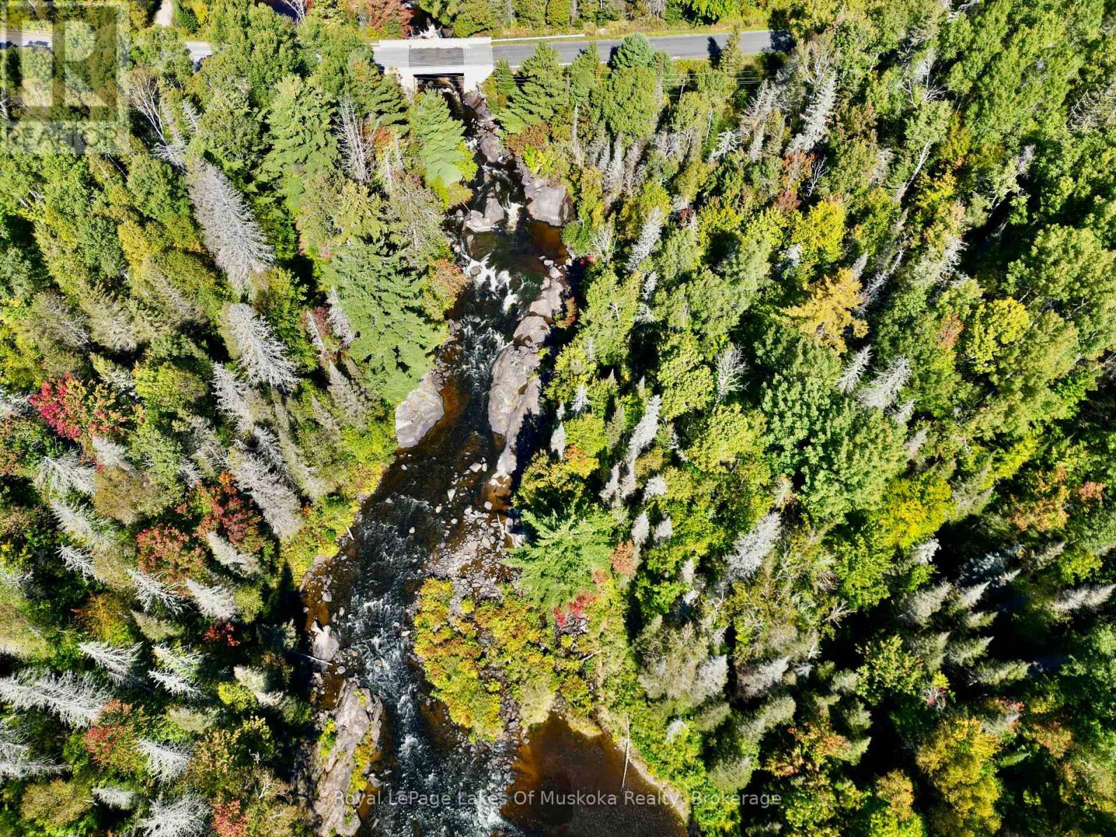 Pt Lt 7 Con 10 Pickerel & Jack Lake Road, Armour, Ontario P0A 1C0 - Photo 11 - X13828994