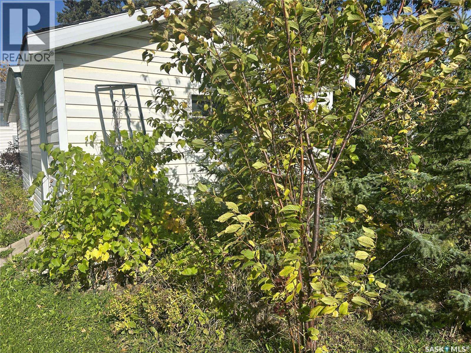 702 101st Avenue, Tisdale, Saskatchewan  S0E 1T0 - Photo 5 - SK049293