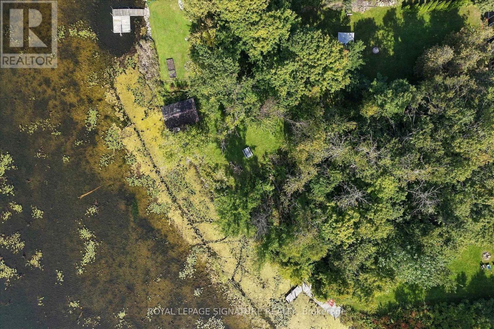 32 Hargrave Road, Kawartha Lakes, Ontario  K0M 2B0 - Photo 39 - X13780482