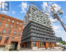 807 - 9 TECUMSETH STREET, Toronto, Ontario
