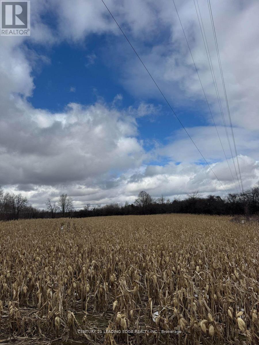 8700 Coronation Road, Whitby, Ontario L0B 1A0 - Photo 4 - E13829662