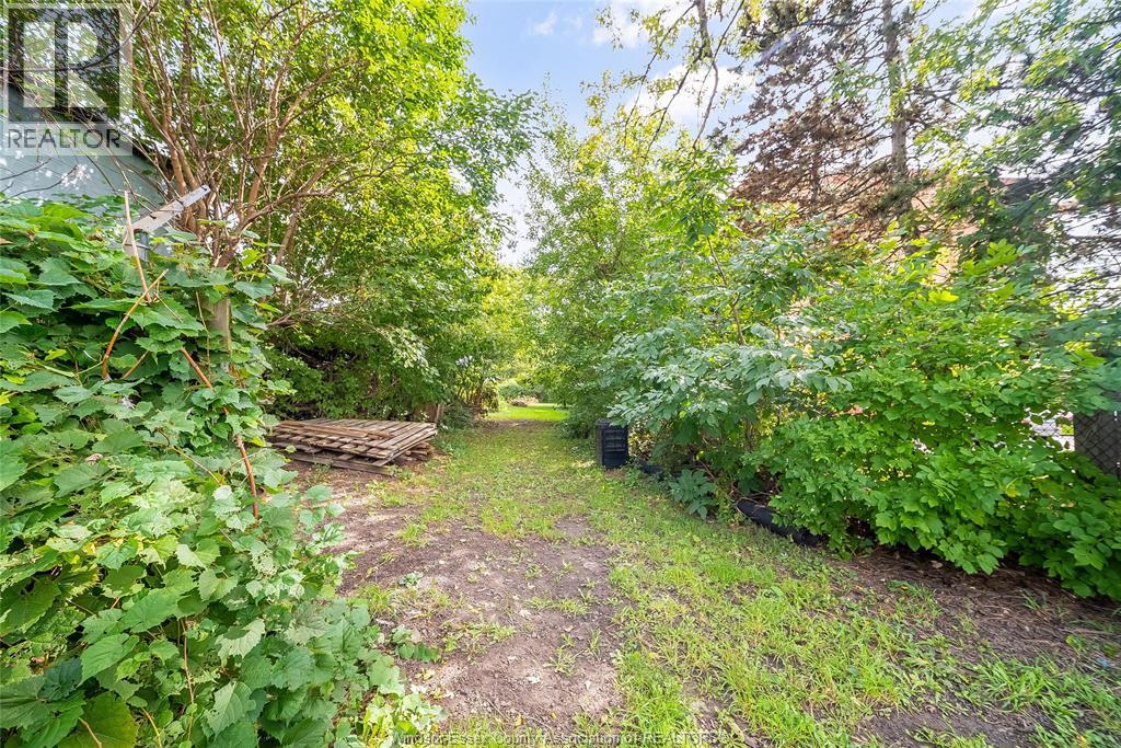5837 Tecumseh Road East, Windsor, Ontario  N8T 1E1 - Photo 36 - 26023556