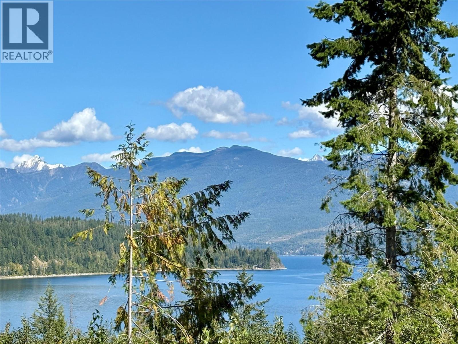 picture 0