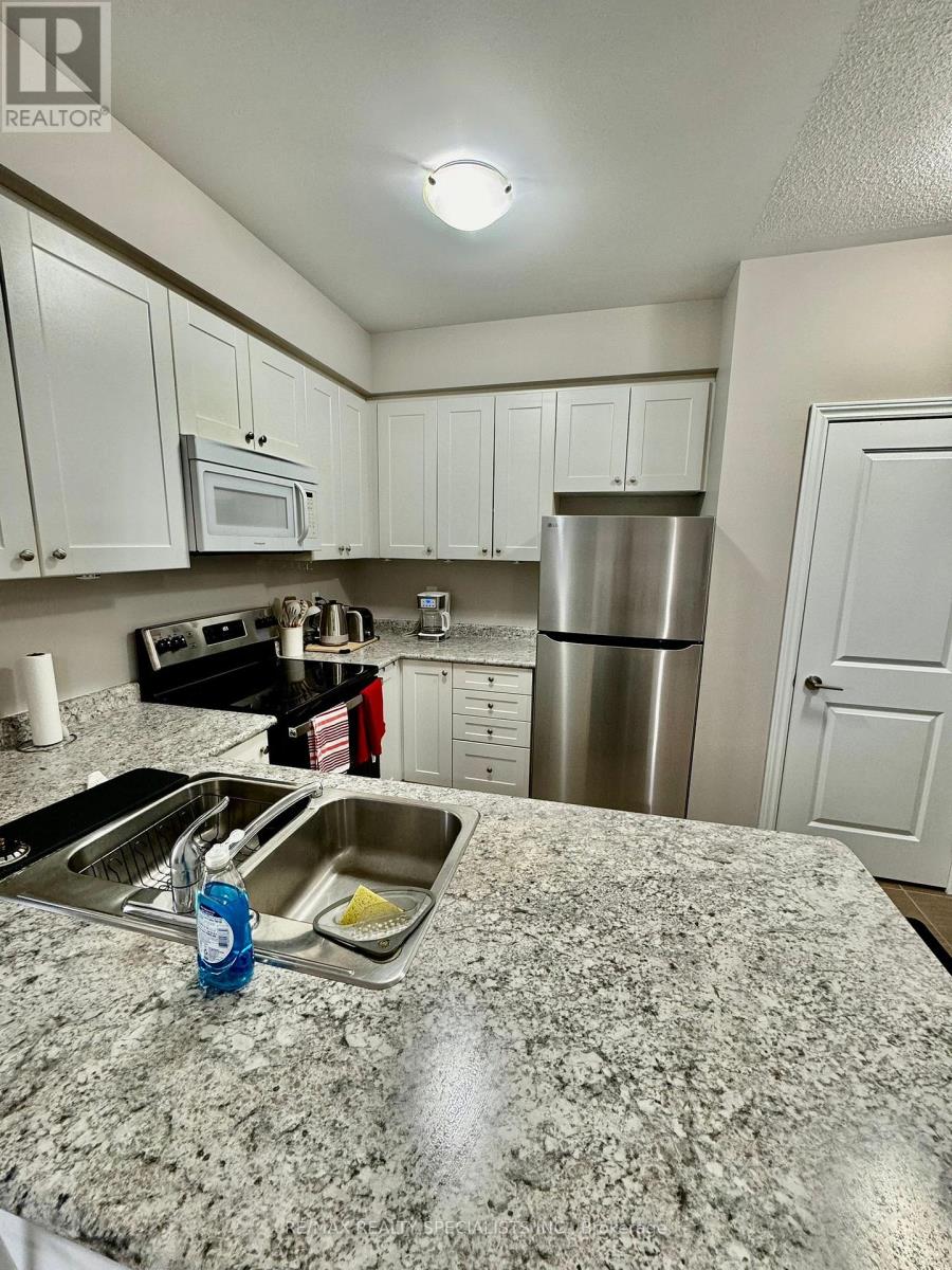 202 - 2339 Sawgrass Drive, Oakville, Ontario  L6H 0L1 - Photo 3 - W13817740