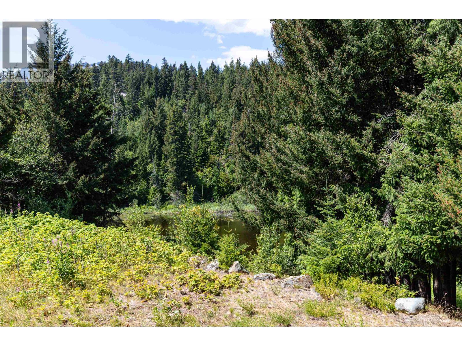 7 7001 Nesters Road, Whistler, British Columbia  V8E 0X1 - Photo 12 - R3169536