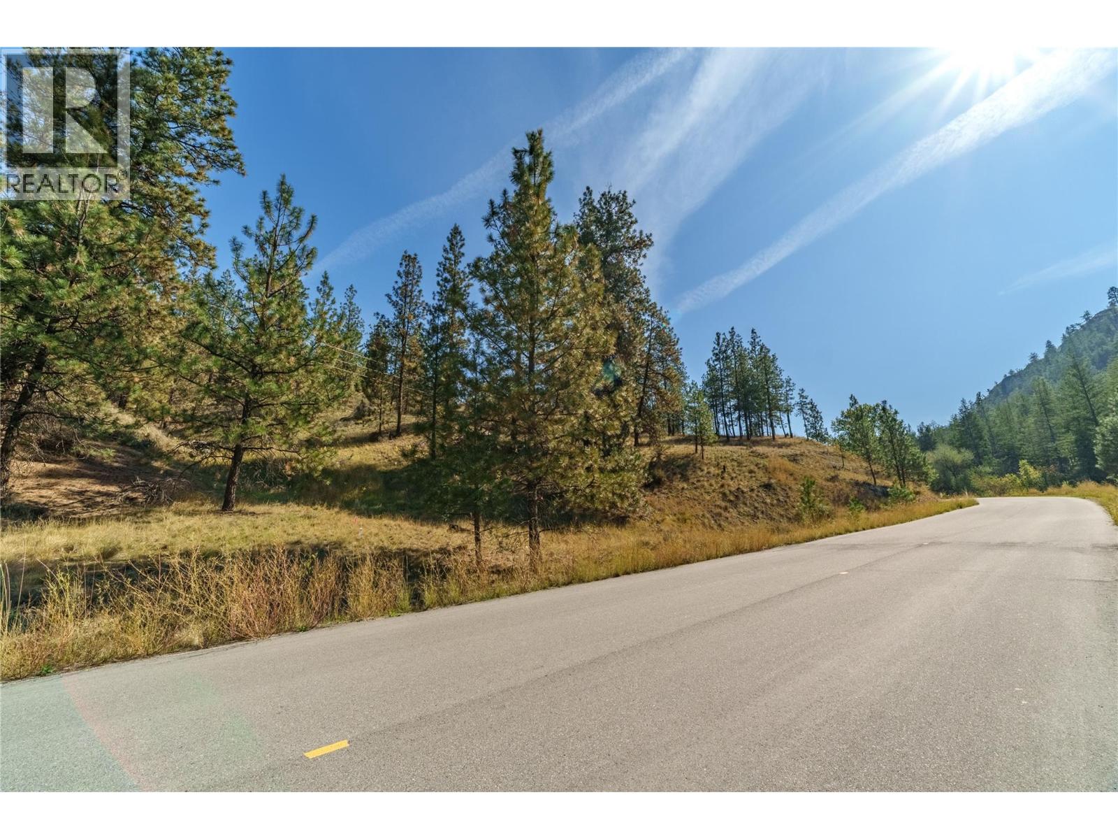 Prpsd Lt 2 47 Street, Okanagan Falls, British Columbia  V0H 1R5 - Photo 13 - 10401709