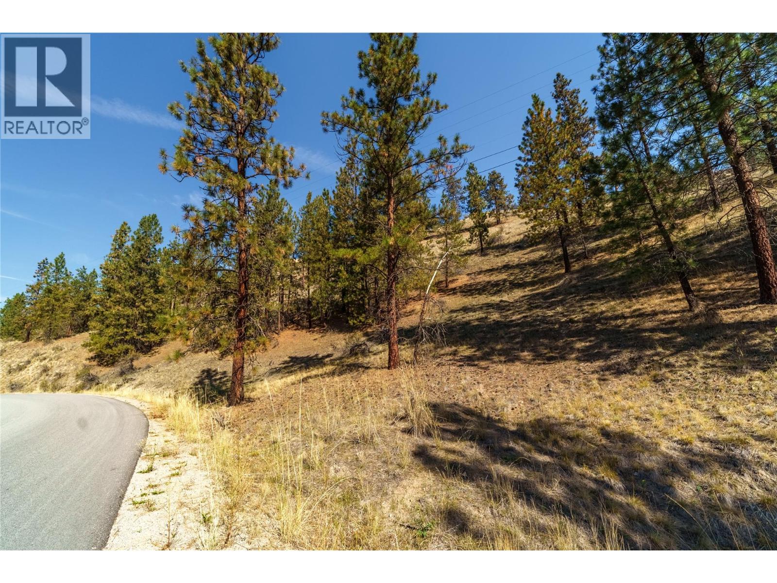 Prpsd Lt 2 47 Street, Okanagan Falls, British Columbia  V0H 1R5 - Photo 14 - 10401709