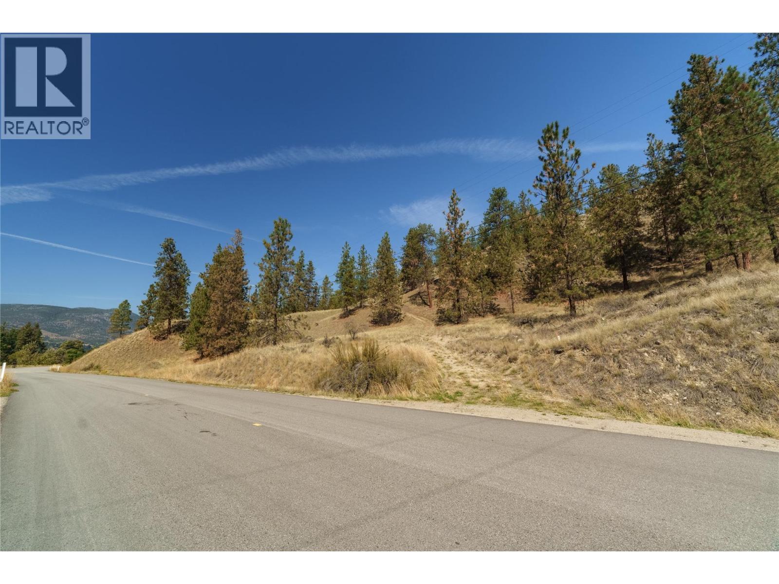 Prpsd Lt 2 47 Street, Okanagan Falls, British Columbia  V0H 1R5 - Photo 16 - 10401709