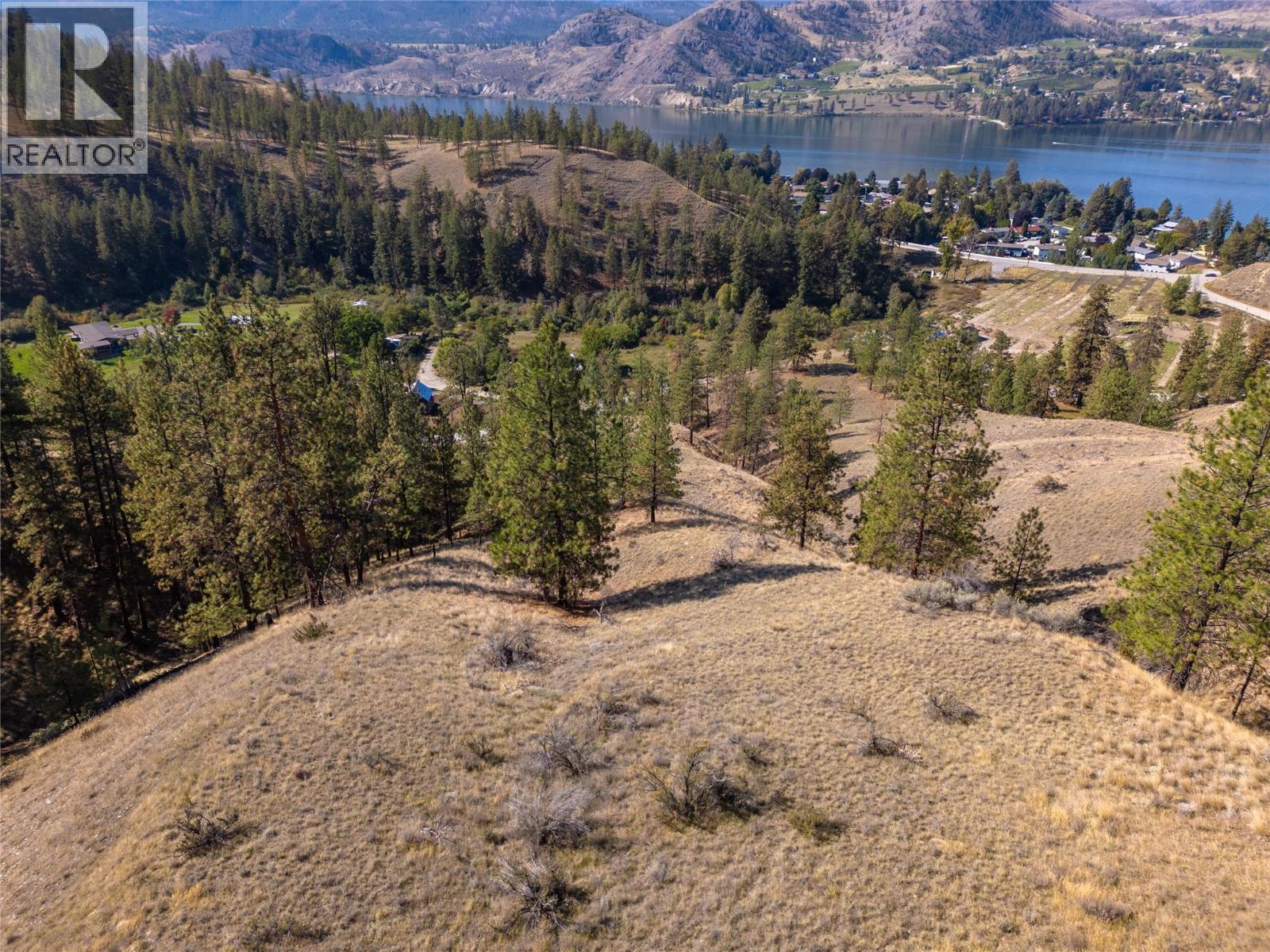 Prpsd Lt 2 47 Street, Okanagan Falls, British Columbia  V0H 1R5 - Photo 2 - 10401709