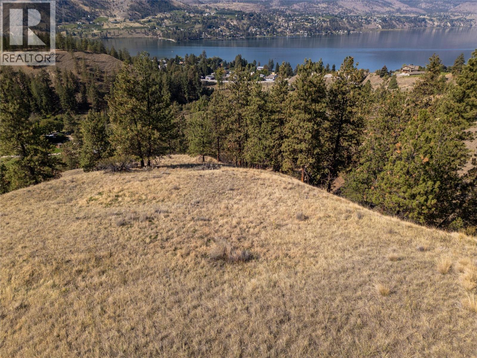 Prpsd Lt 2 47 Street, Okanagan Falls, British Columbia  V0H 1R5 - Photo 38 - 10401709