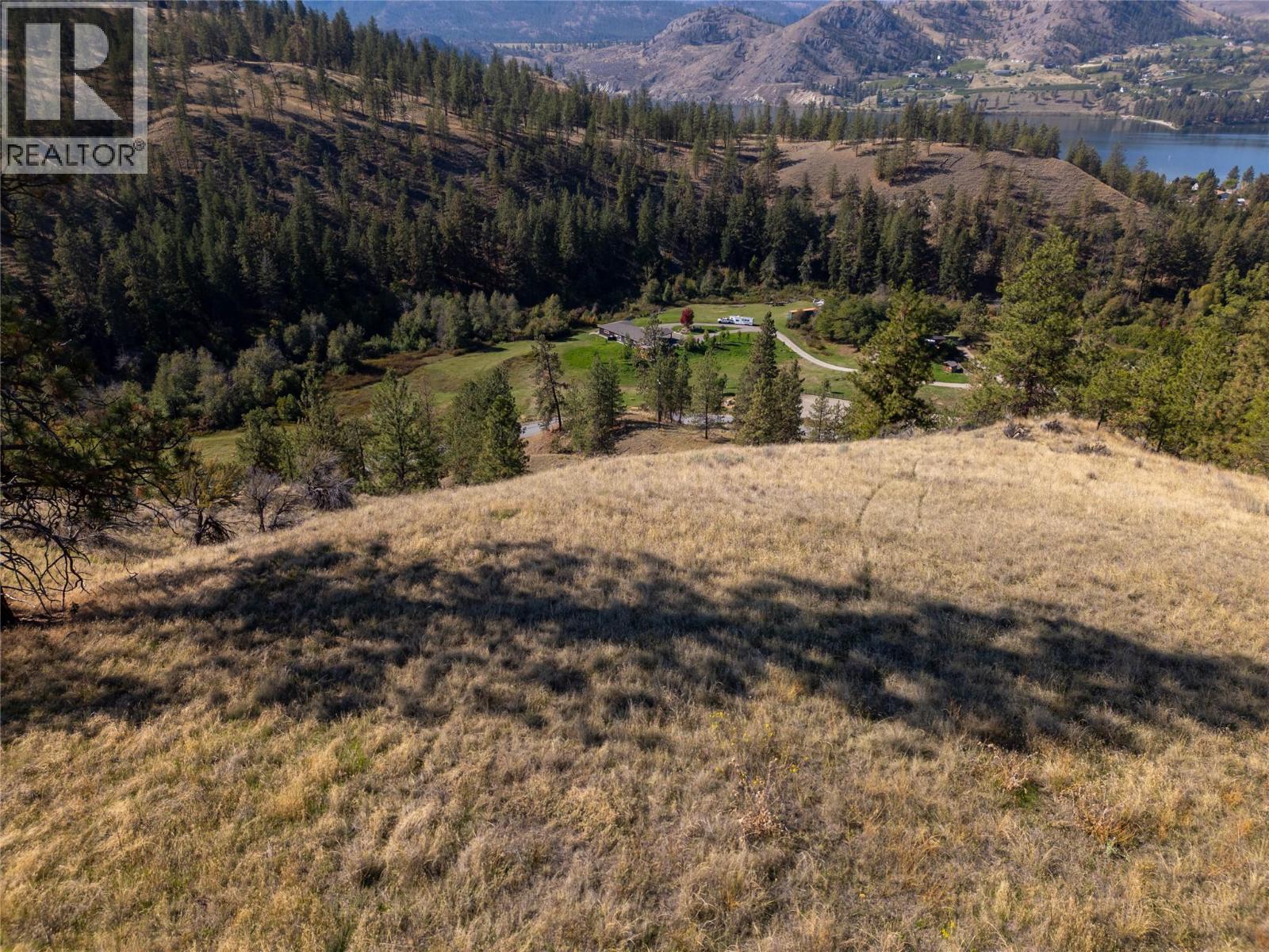 Prpsd Lt 2 47 Street, Okanagan Falls, British Columbia  V0H 1R5 - Photo 43 - 10401709
