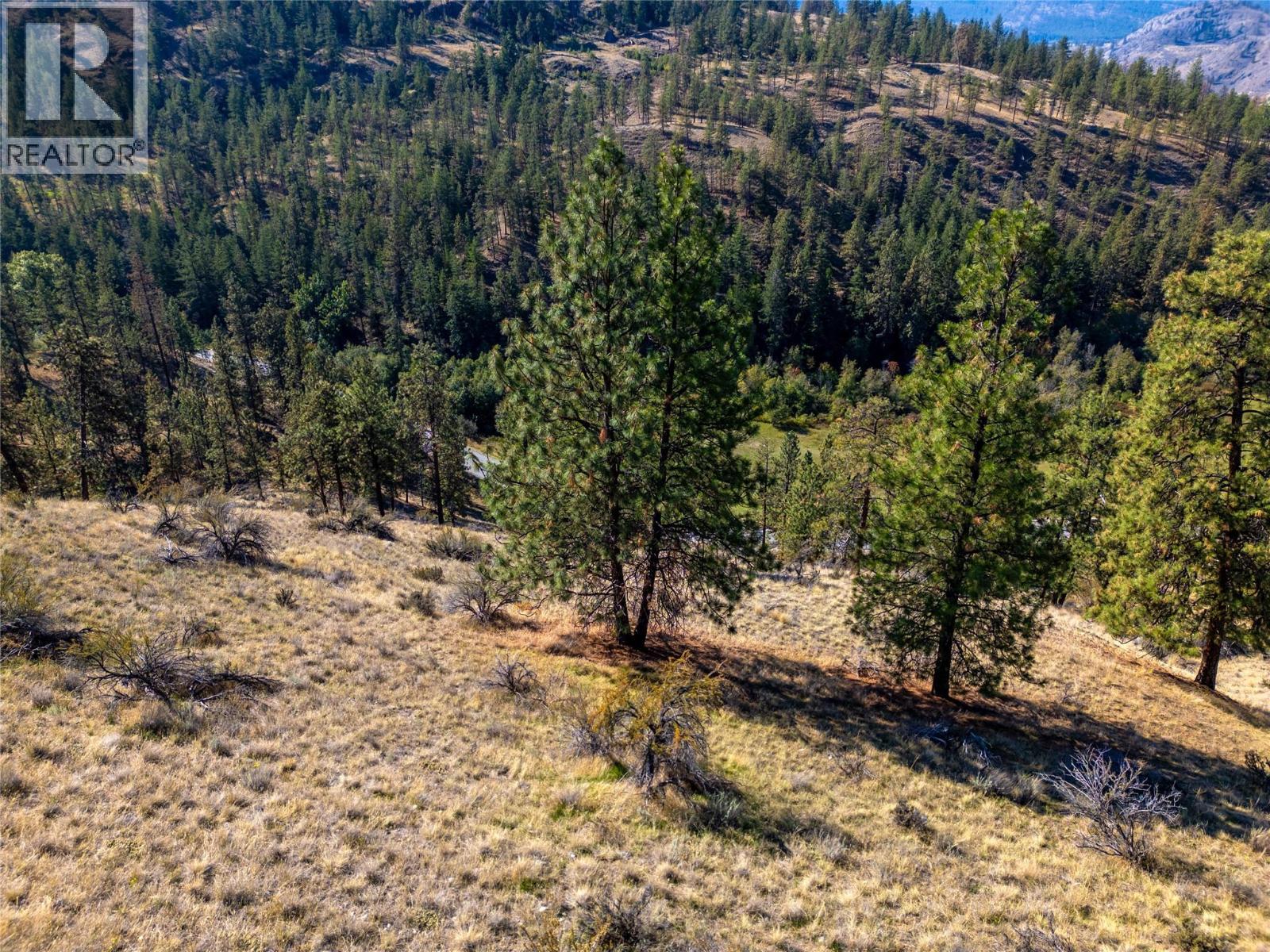 Prpsd Lt 2 47 Street, Okanagan Falls, British Columbia  V0H 1R5 - Photo 60 - 10401709