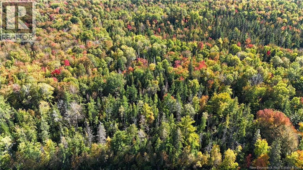 Lot 3 Route 3, Andersonville, New Brunswick  E5A 1E2 - Photo 8 - NB135242