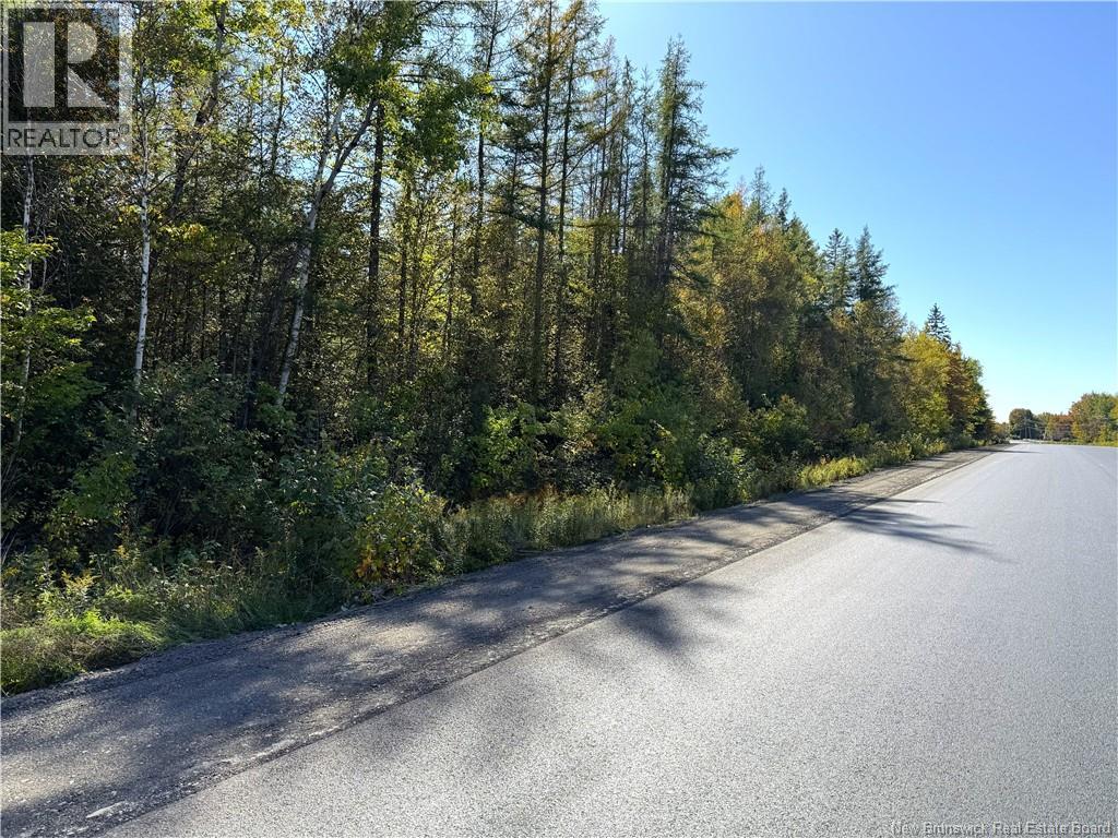 Lot 4 Route 3, Andersonville, New Brunswick  E5A 1E2 - Photo 4 - NB135253
