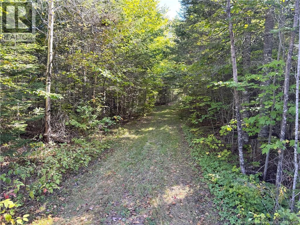 Lot 4 Route 3, Andersonville, New Brunswick  E5A 1E2 - Photo 5 - NB135253