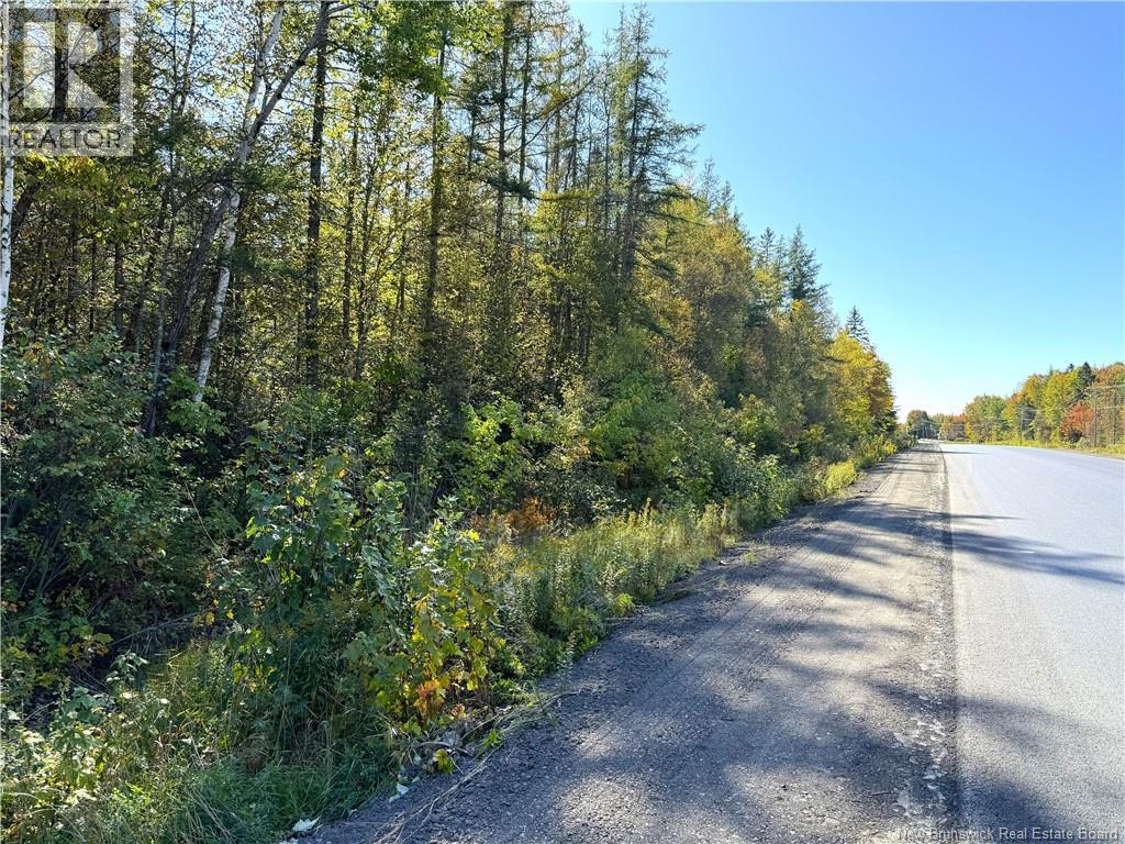 Lot 4 Route 3, Andersonville, New Brunswick  E5A 1E2 - Photo 6 - NB135253