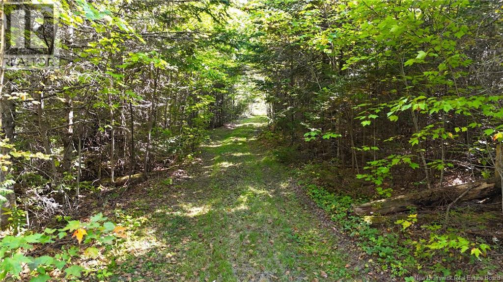 Lot 4 Route 3, Andersonville, New Brunswick  E5A 1E2 - Photo 15 - NB135253
