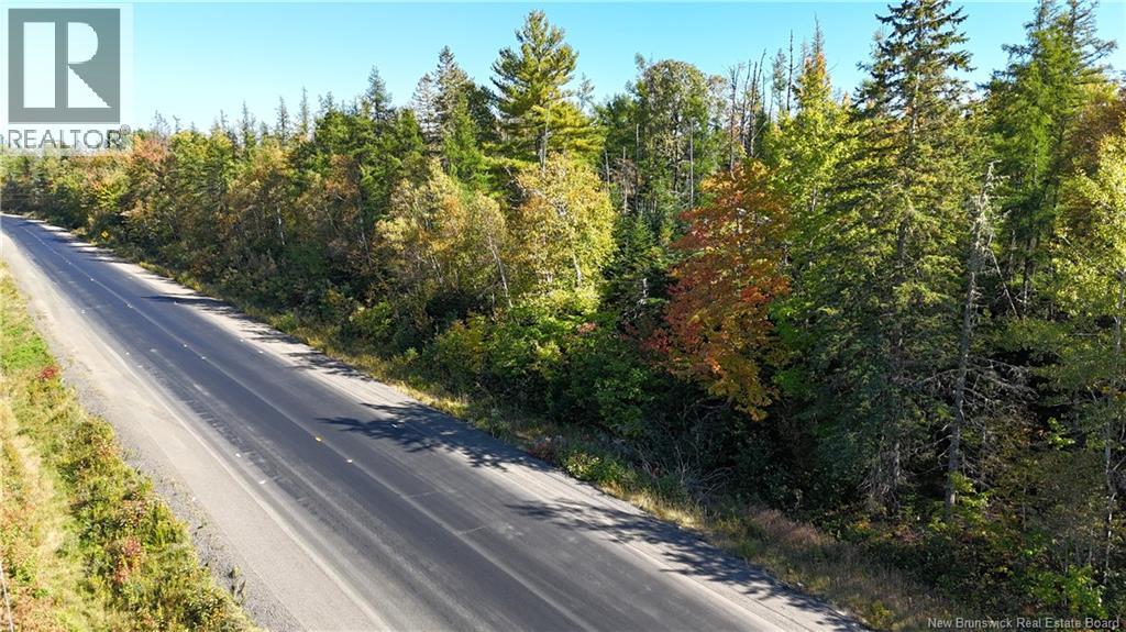 Lot 4 Route 3, Andersonville, New Brunswick  E5A 1E2 - Photo 8 - NB135253