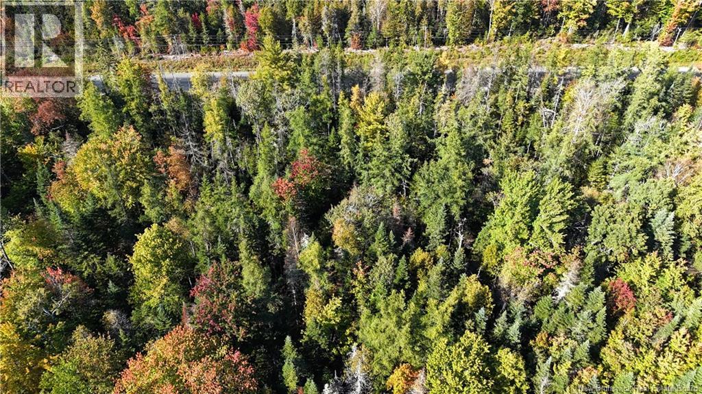 Lot 4 Route 3, Andersonville, New Brunswick  E5A 1E2 - Photo 13 - NB135253