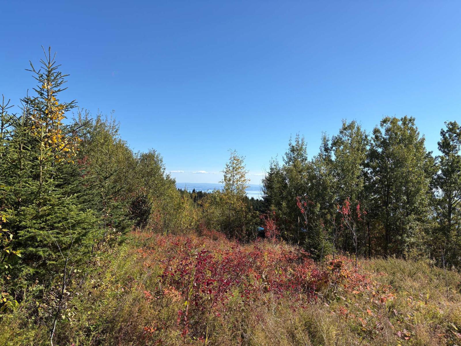 Rue du Haut-Perché La Malbaie Quebec Canada G5A0C3 5