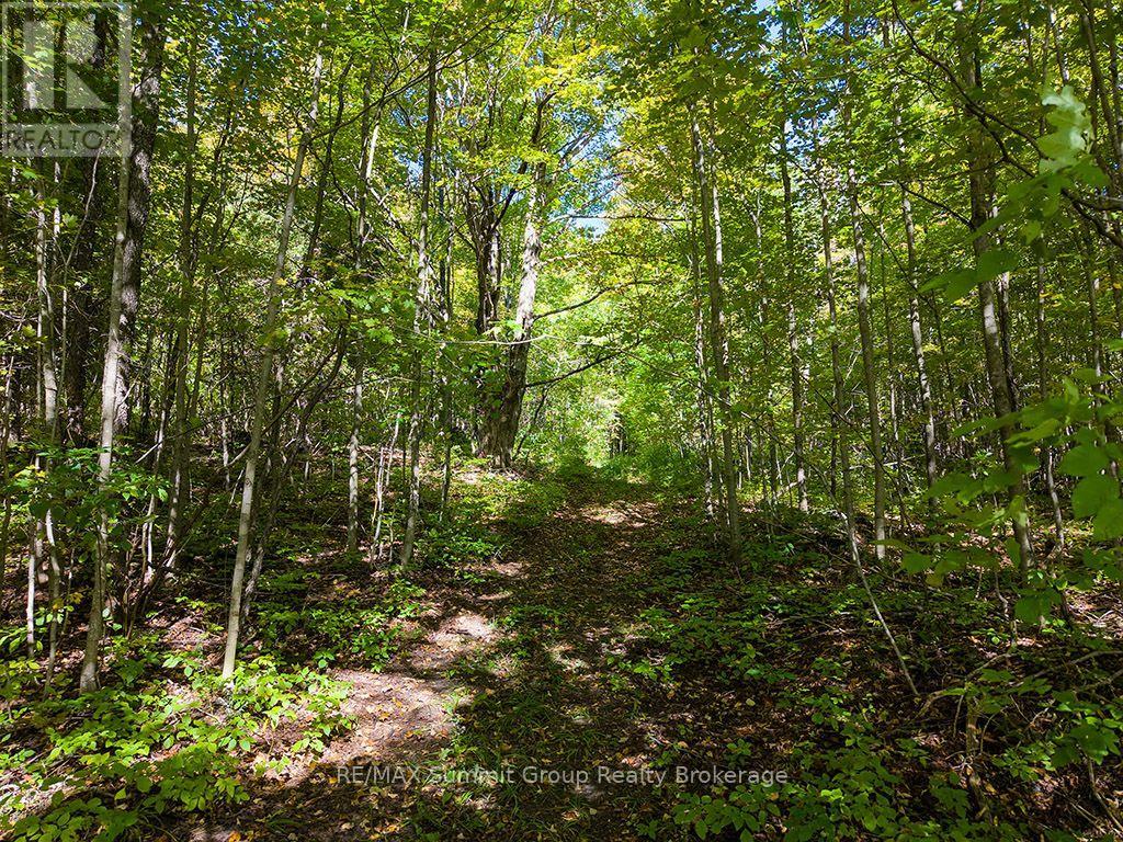 467063 12th Concession B, Grey Highlands, Ontario  N0C 1E0 - Photo 37 - X13830018