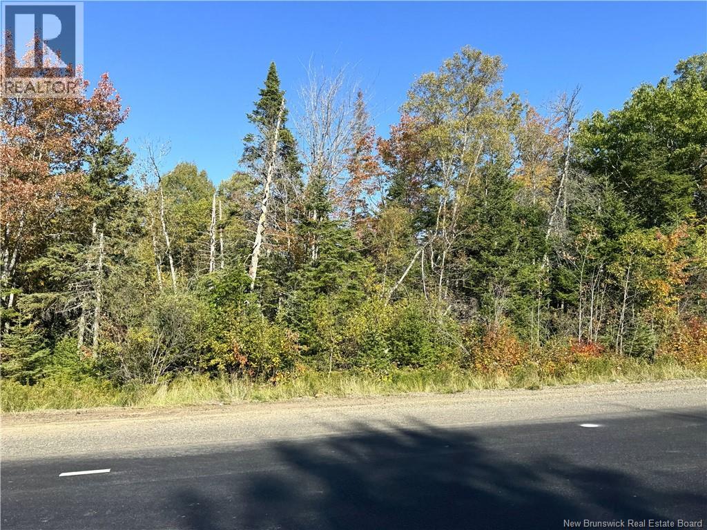 000 Route 3, Lawrence Station, New Brunswick  E5A 3C5 - Photo 10 - NB148347