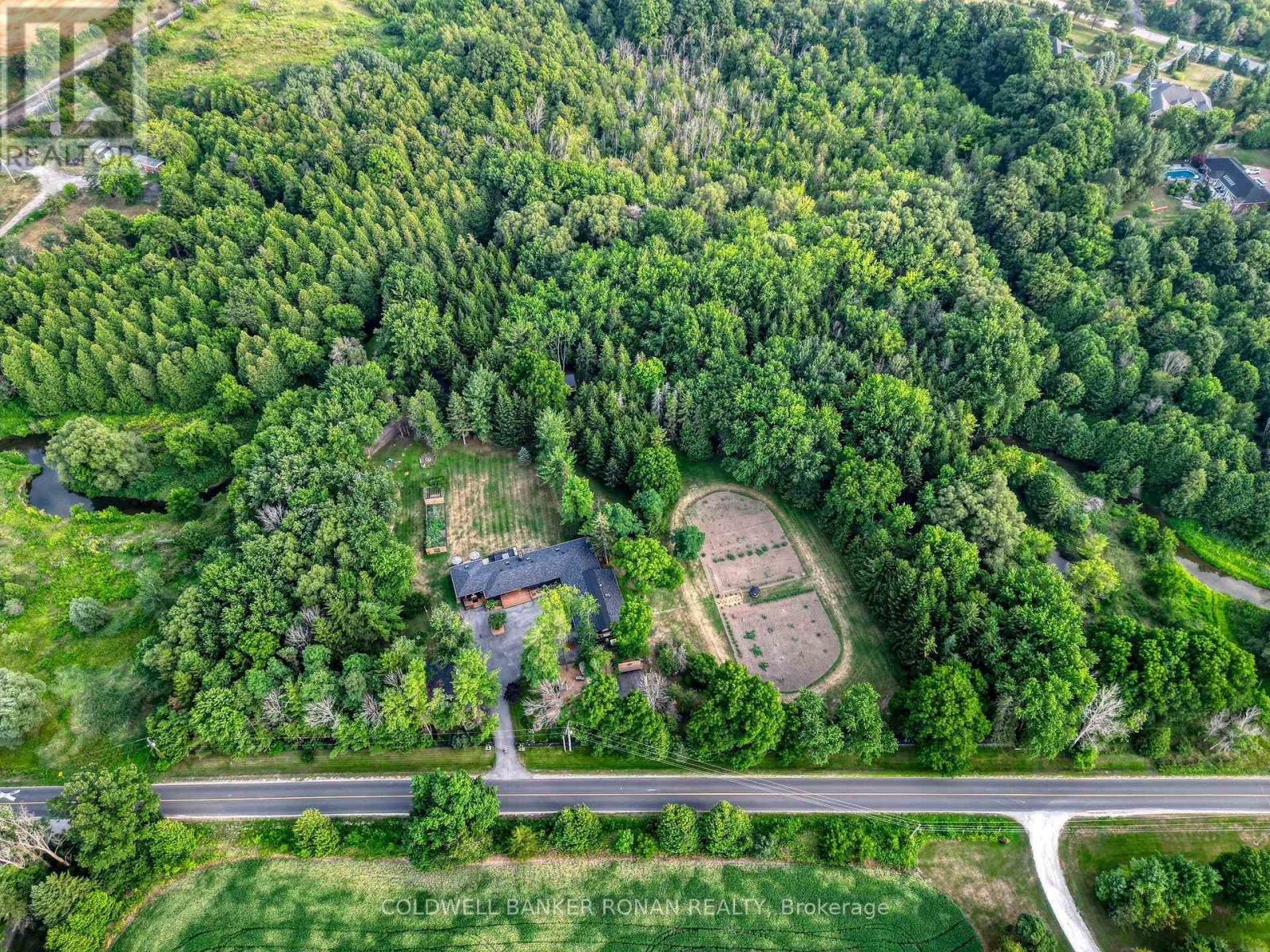 6591 6th Line, New Tecumseth, Ontario  L0G 1W0 - Photo 33 - N13829842
