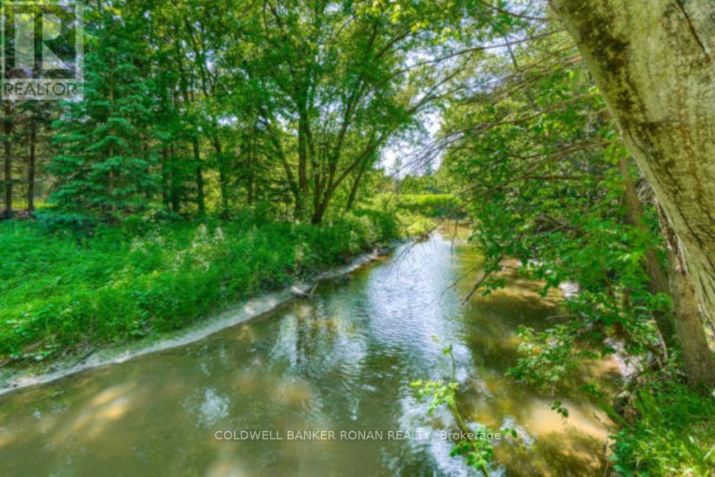 6591 6th Line, New Tecumseth, Ontario  L0G 1W0 - Photo 45 - N13829842