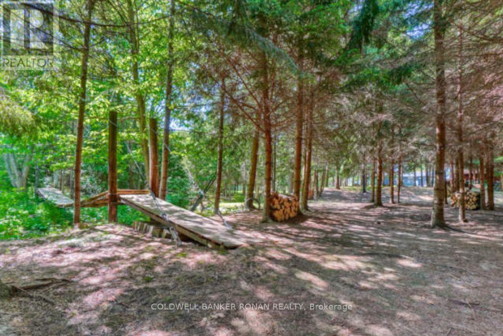 6591 6th Line, New Tecumseth, Ontario  L0G 1W0 - Photo 46 - N13829842