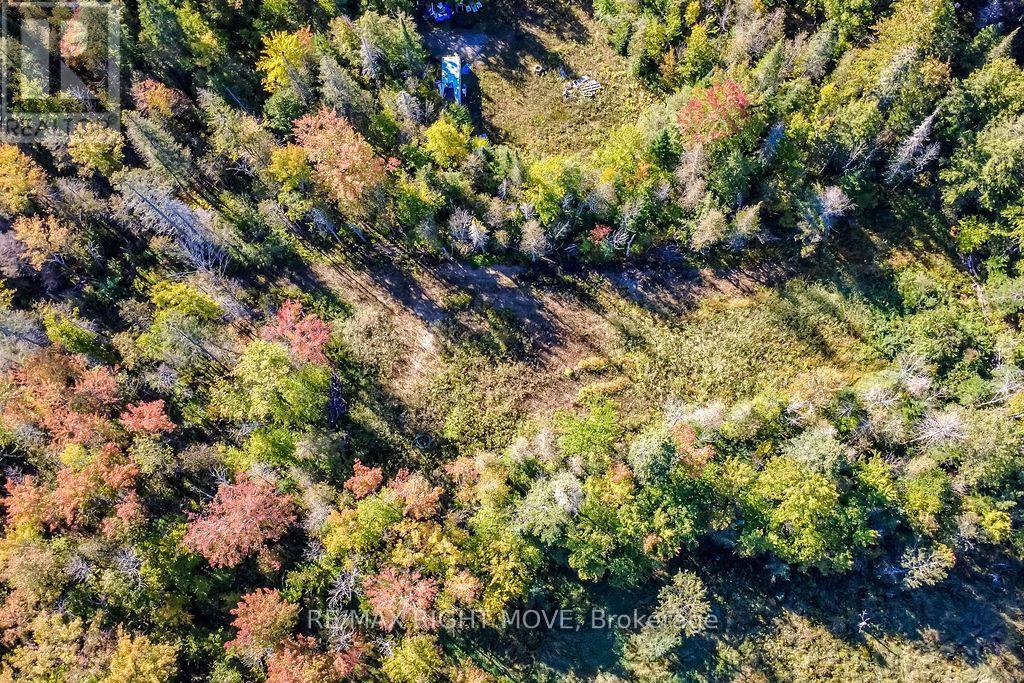 1223 Southwood Road, Gravenhurst, Ontario  P0E 1N0 - Photo 10 - X13830066