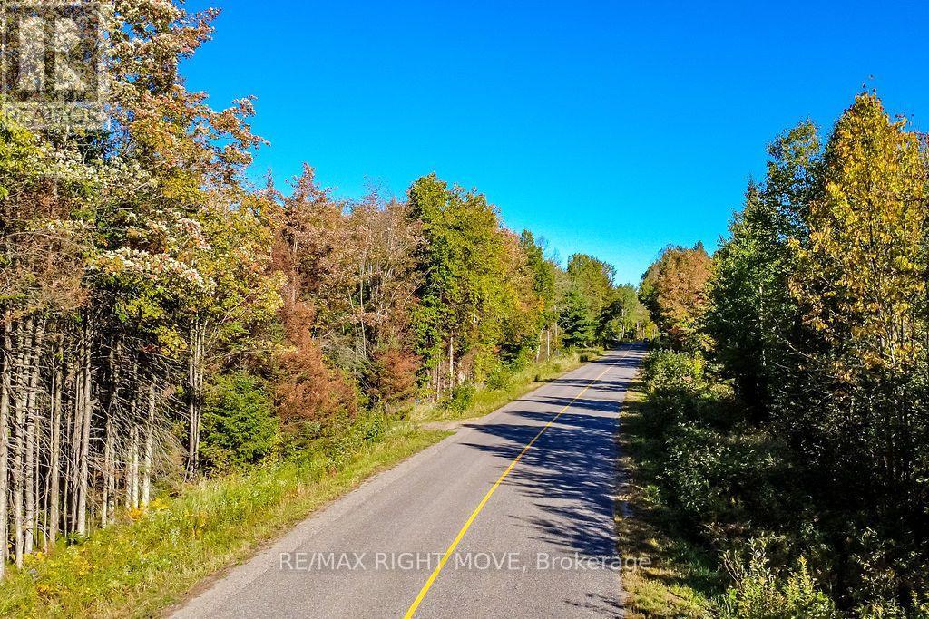 1223 Southwood Road, Gravenhurst, Ontario  P0E 1N0 - Photo 2 - X13830066