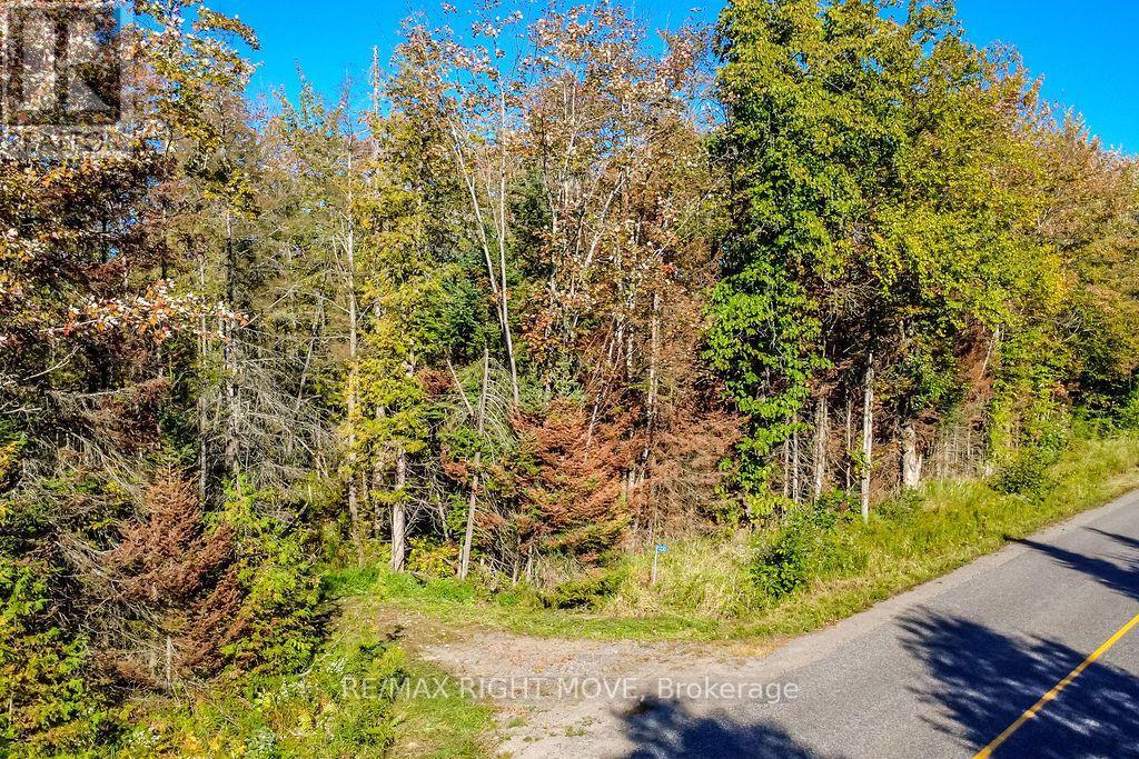 1223 Southwood Road, Gravenhurst, Ontario  P0E 1N0 - Photo 3 - X13830066
