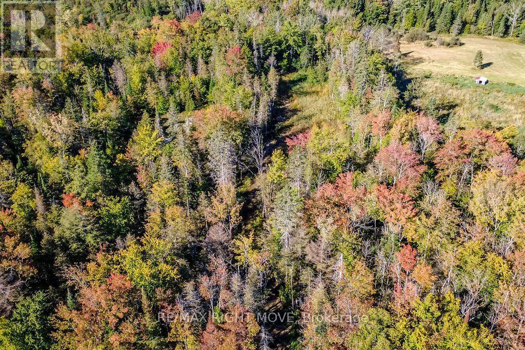 1223 Southwood Road, Gravenhurst, Ontario  P0E 1N0 - Photo 7 - X13830066
