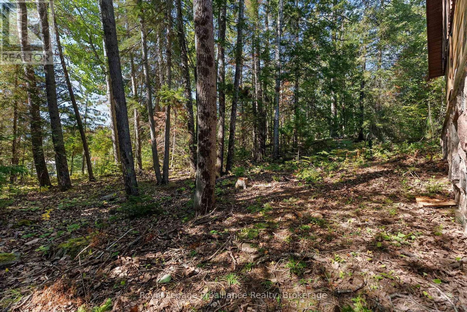 107a Ravenswood Lane, Brudenell, Ontario  K0J 2G0 - Photo 38 - X13830152