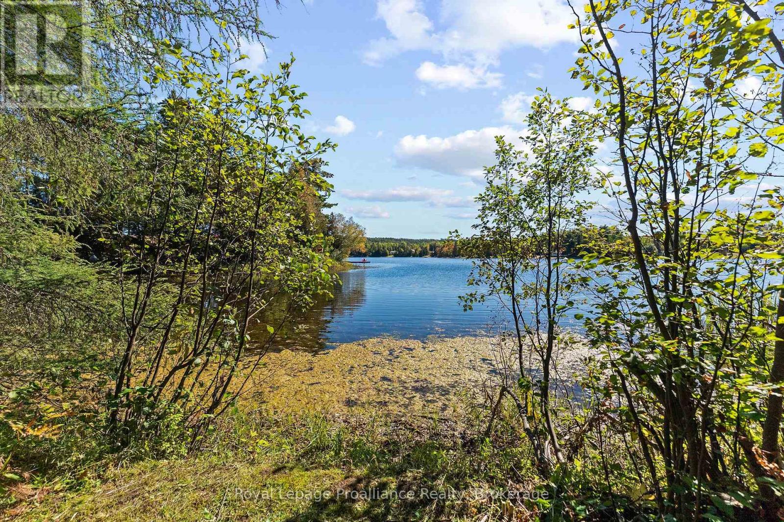 107a Ravenswood Lane, Brudenell, Ontario  K0J 2G0 - Photo 41 - X13830152
