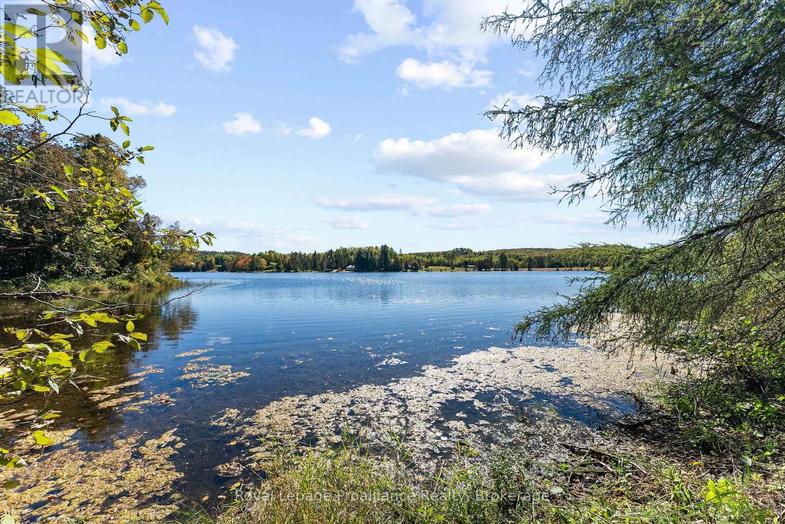 107a Ravenswood Lane, Brudenell, Ontario  K0J 2G0 - Photo 43 - X13830152