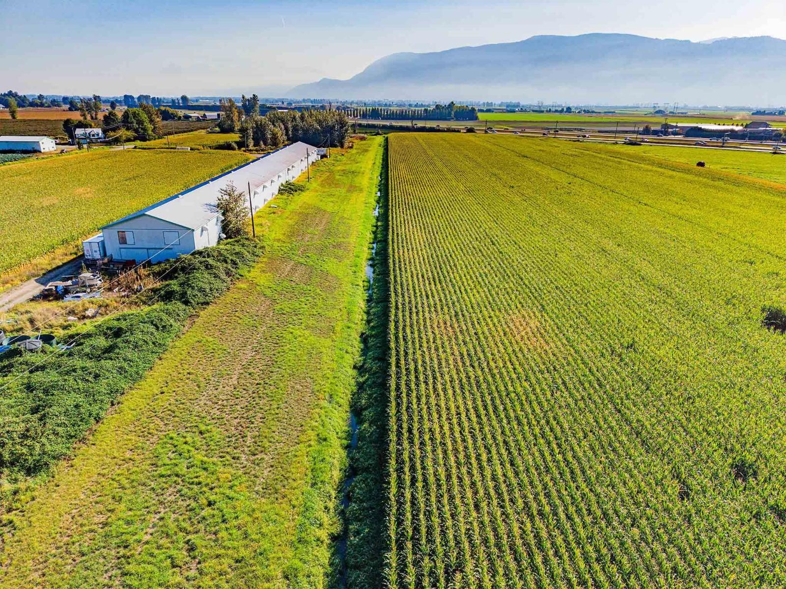 38620 No. 4 Road, Abbotsford, British Columbia  V3G 2G2 - Photo 4 - C8082329