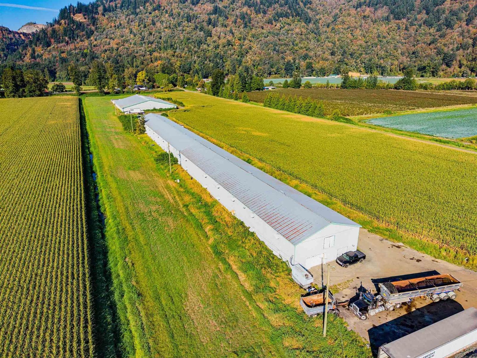 38620 No. 4 Road, Abbotsford, British Columbia  V3G 2G2 - Photo 2 - C8082329