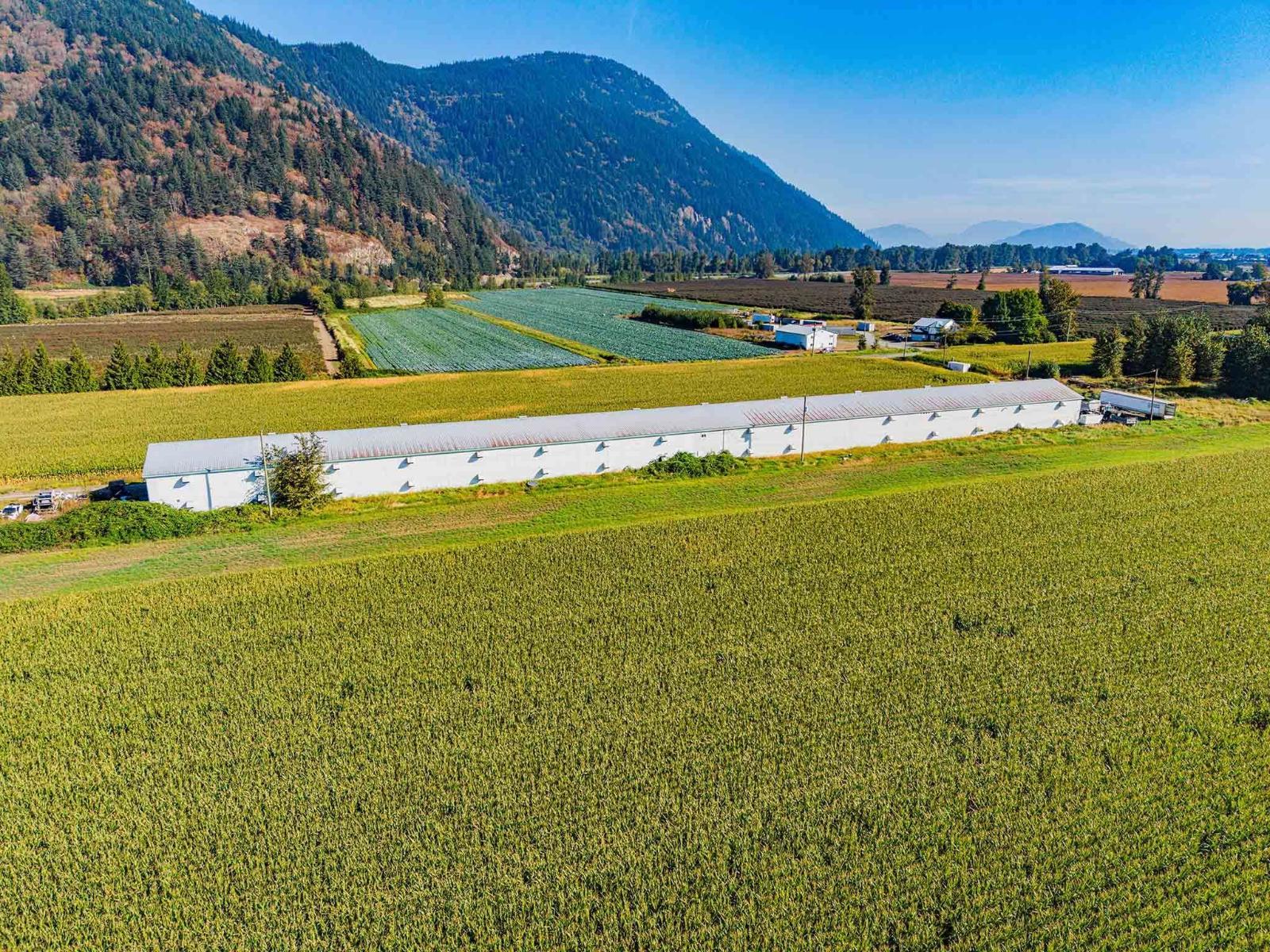 38620 No. 4 Road, Abbotsford, British Columbia  V3G 2G2 - Photo 3 - C8082329