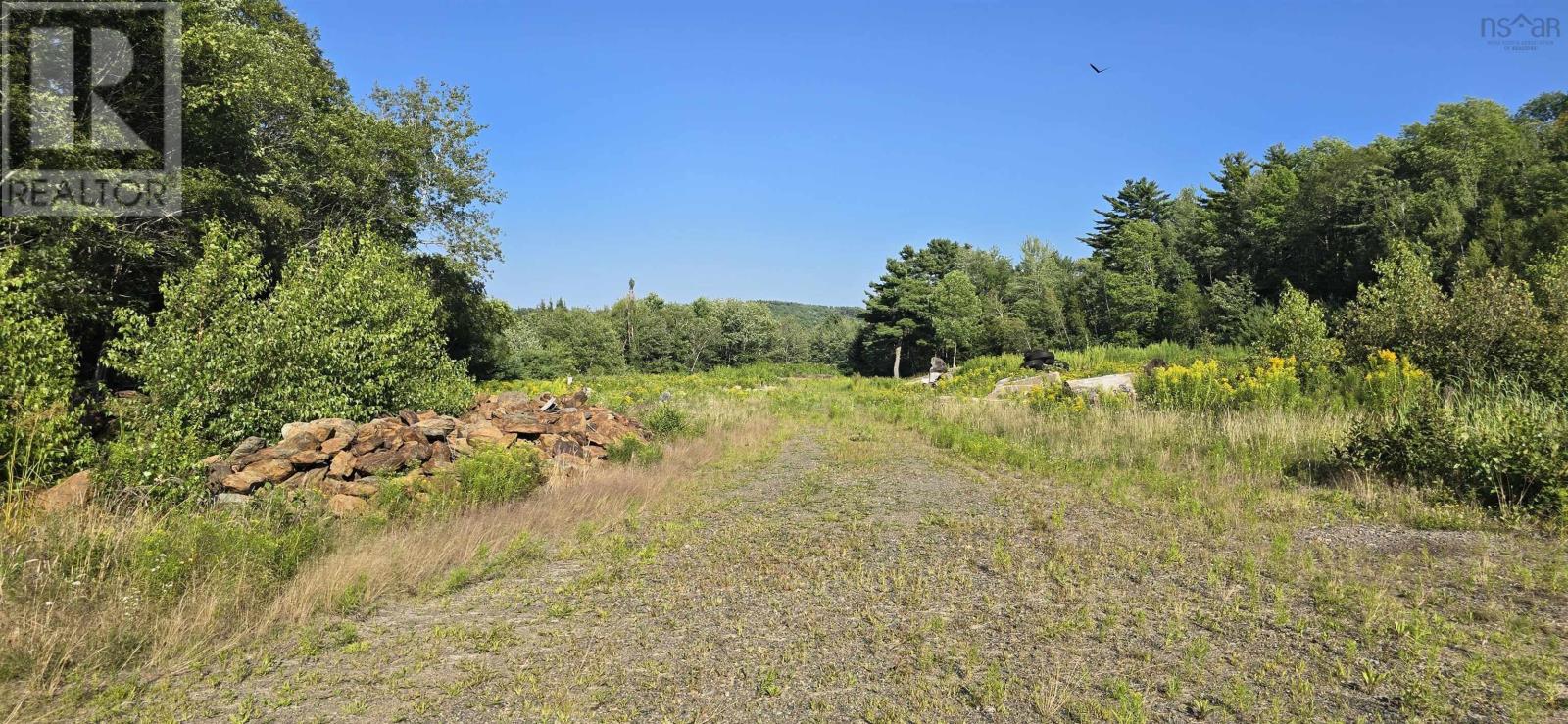 Lot Highway 10, Cookville, Nova Scotia  B4V 7P8 - Photo 19 - 202624408