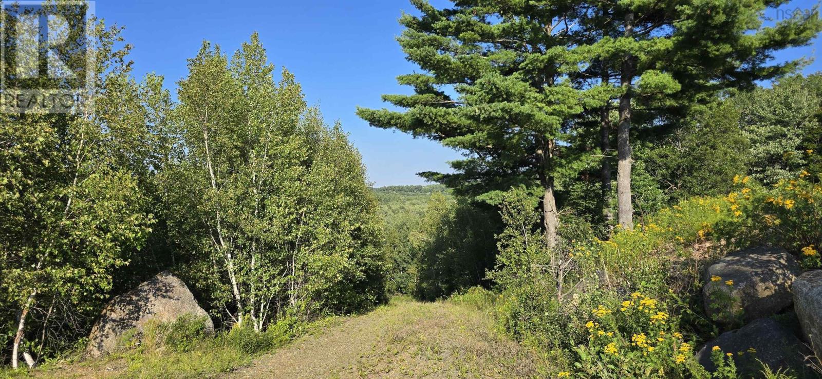 Lot Highway 10, Cookville, Nova Scotia  B4V 7P8 - Photo 32 - 202624408