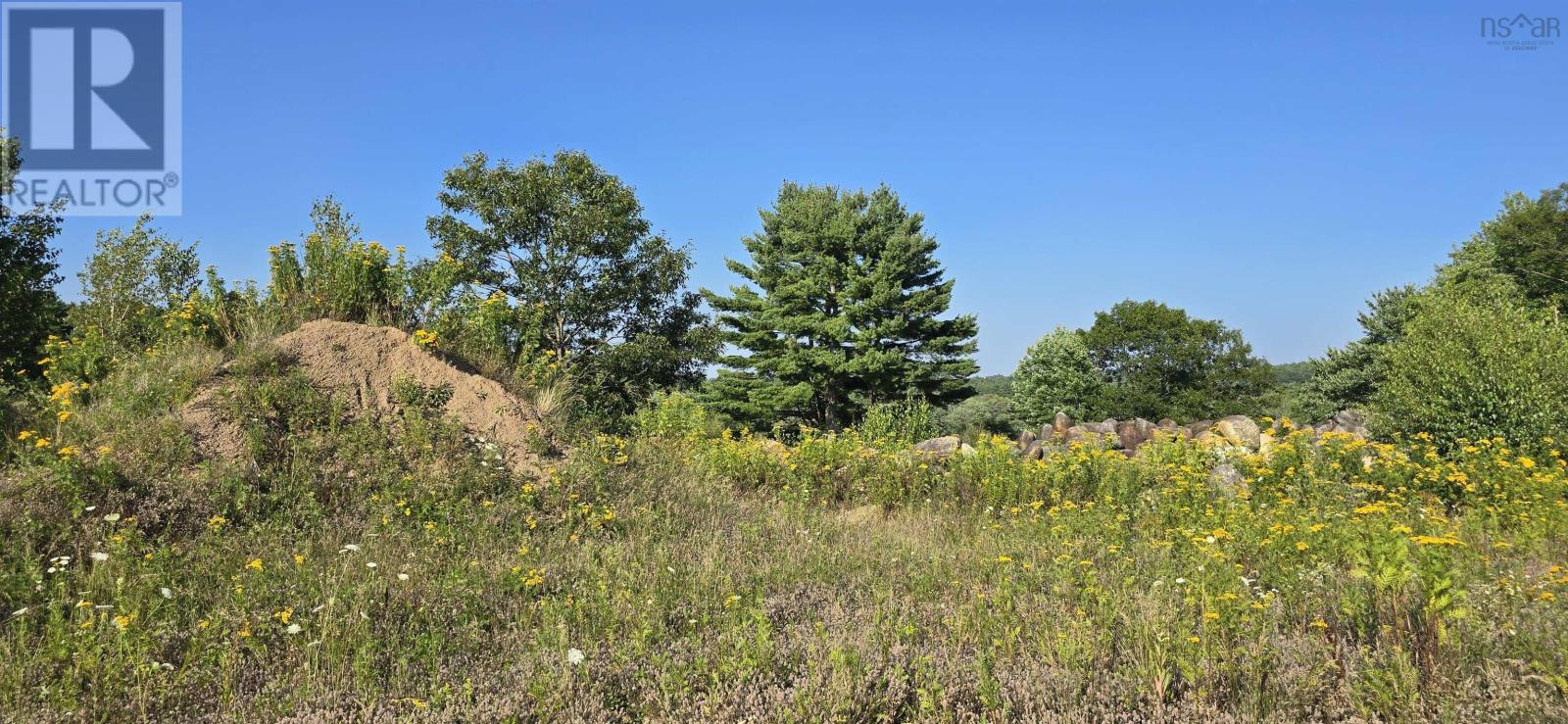 Lot Highway 10, Cookville, Nova Scotia  B4V 7P8 - Photo 30 - 202624408