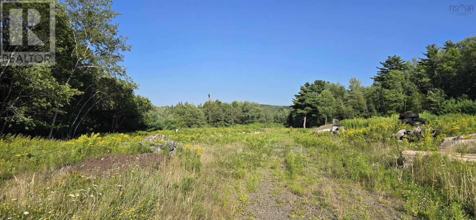 Lot Highway 10, Cookville, Nova Scotia  B4V 7P8 - Photo 22 - 202624408